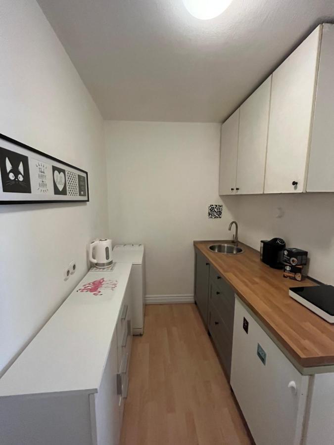 Apartment Flamingo Ljubljana Kültér fotó